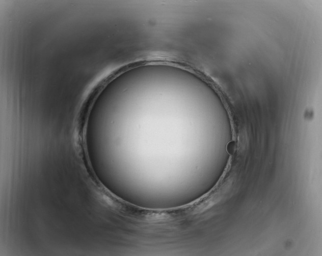 X0000102781454200808251104