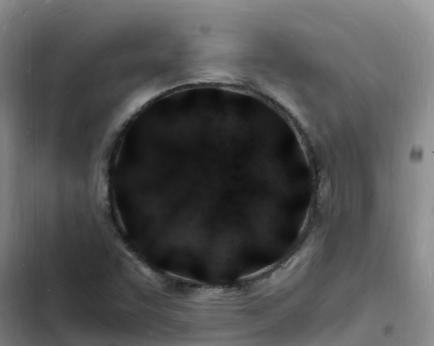 X0000102781455200808251104