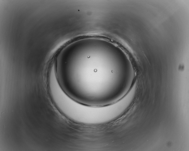 X0000102781456200808251104