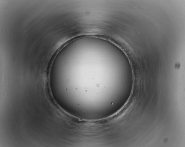 X0000102781457200808251104