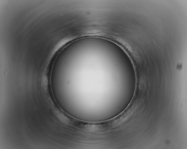 X0000102781458200808251104