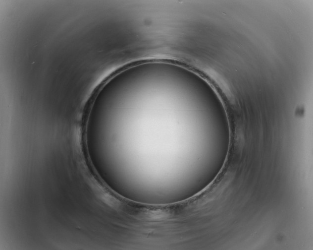 X0000102781460200808251104