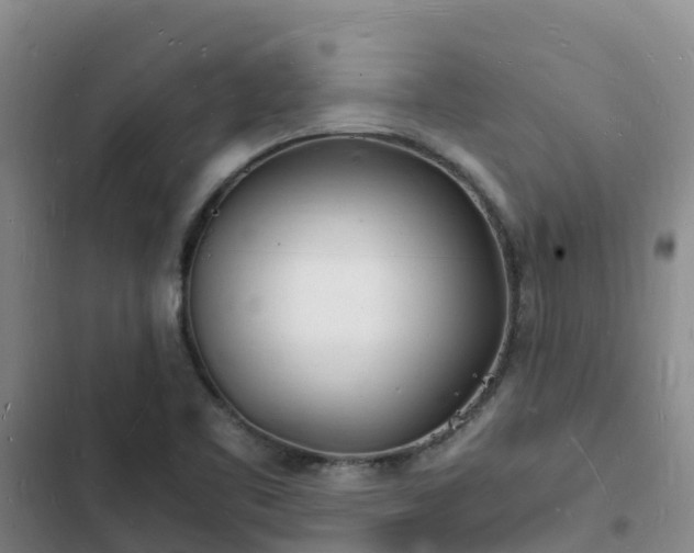 X0000102781461200808251104