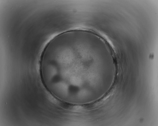 X0000102781463200808251104