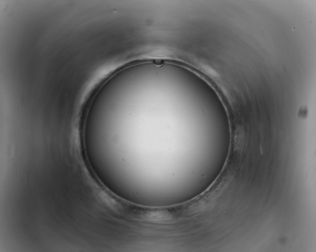 X0000102781464200808251104