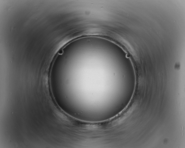 X0000102781465200808251104