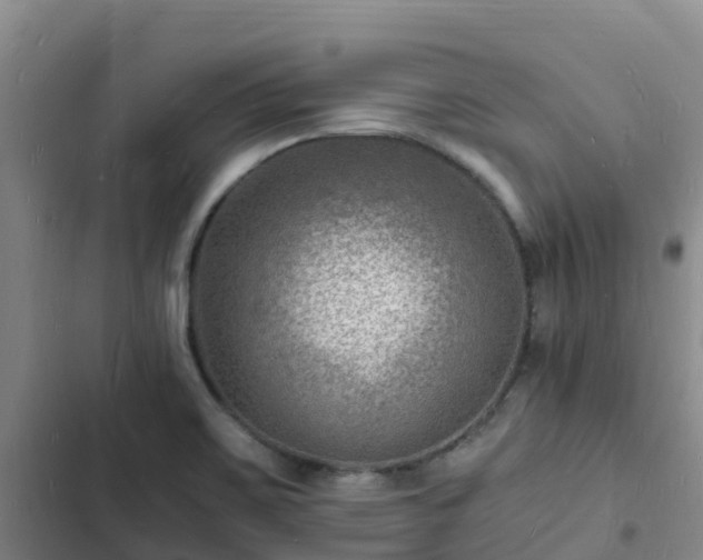 X0000102781467200808251104