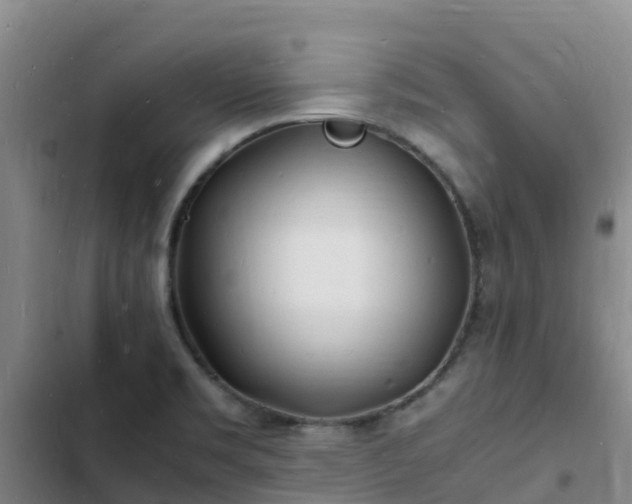 X0000102781469200808251104