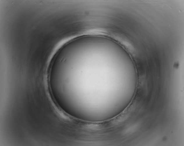 X0000102781470200808251104