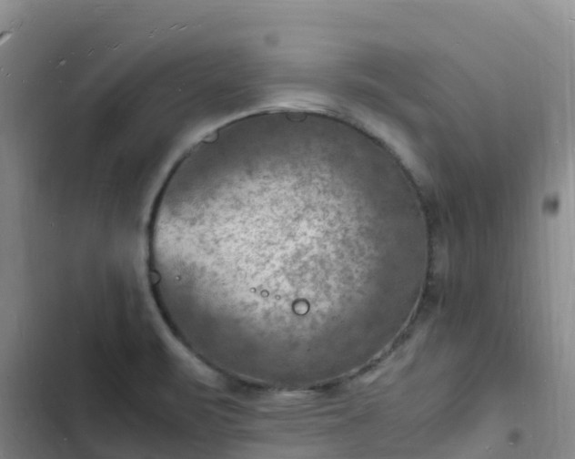 X0000102781471200808251104