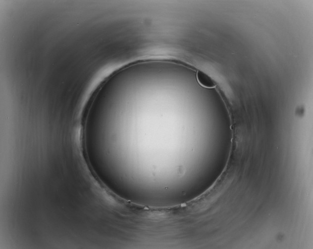 X0000102781472200808251104