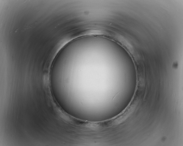 X0000102781473200808251104