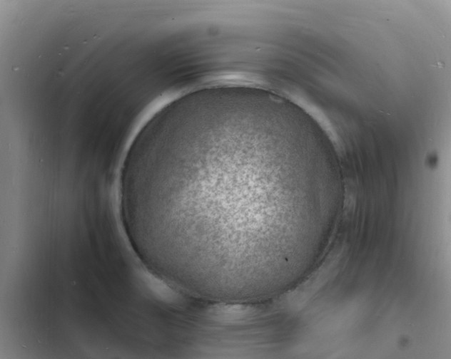 X0000102781474200808251104