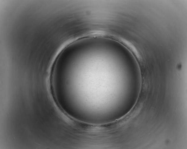 X0000102781475200808251104