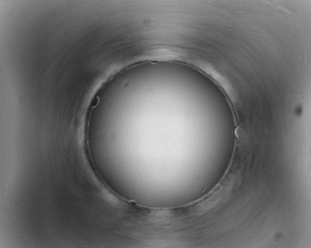 X0000102781477200808251104