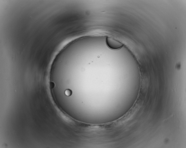 X0000102781478200808251104