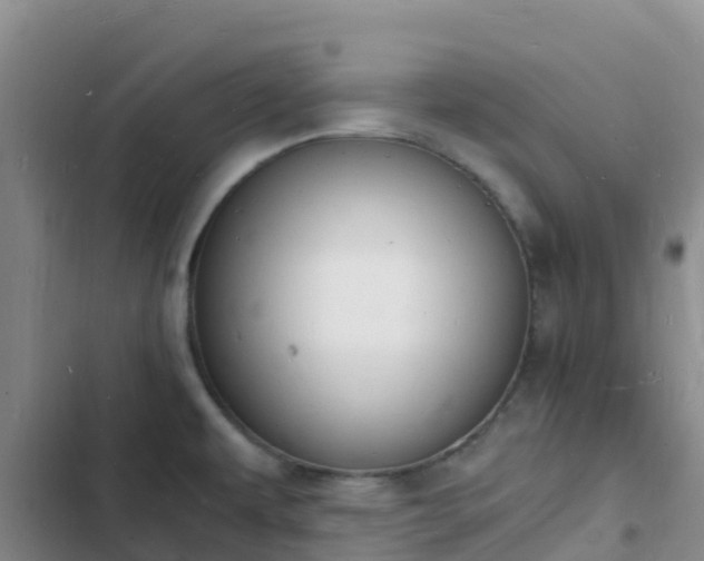 X0000102781479200808251104