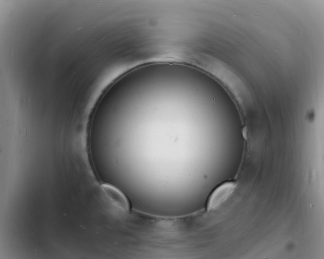 X0000102781480200808251104