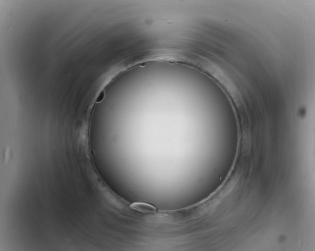 X0000102781481200808251104