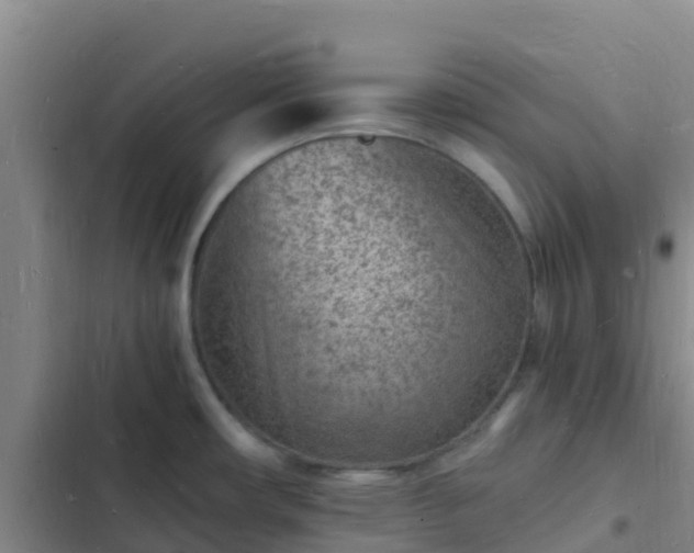 X0000102781482200808251104