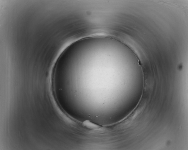 X0000102781483200808251104