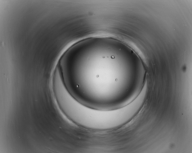 X0000102781484200808251104