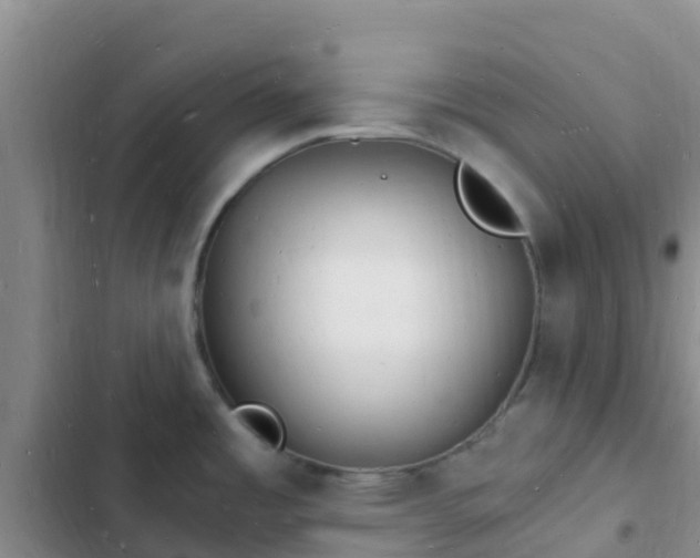 X0000102781485200808251104