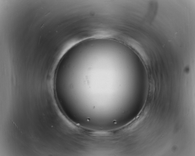 X0000102781487200808251104