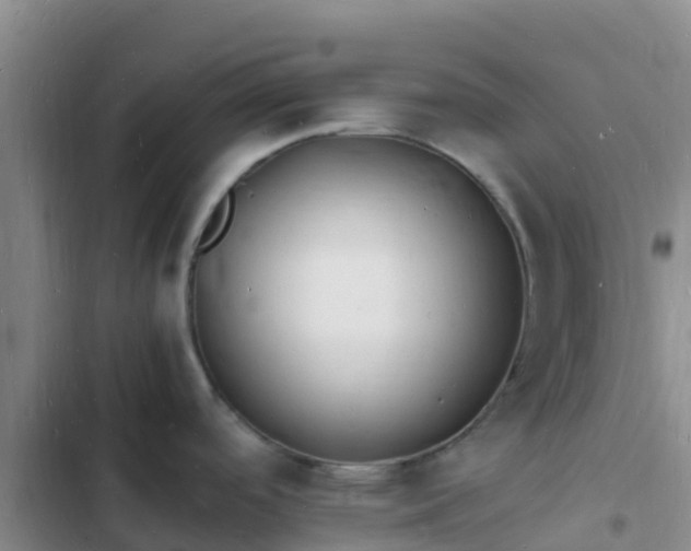 X0000102781488200808251104