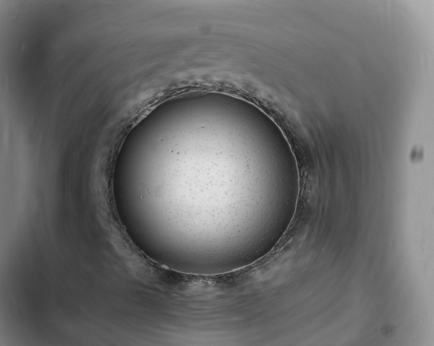 X0000102781489200808251103