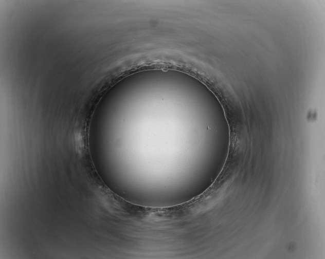 X0000102781490200808251103