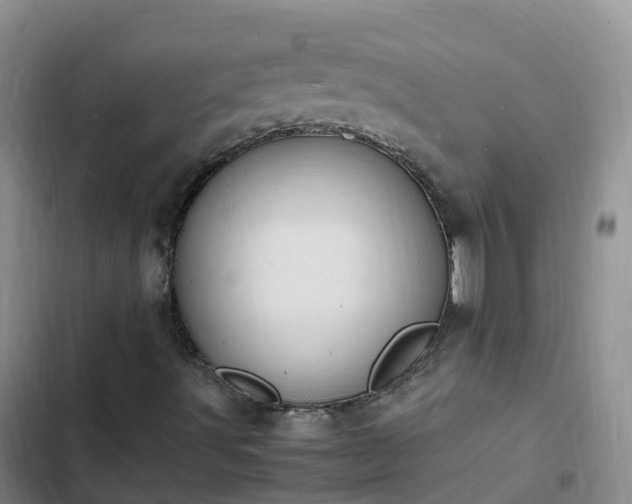 X0000102781491200808251103