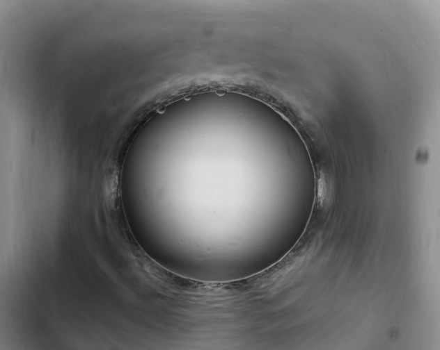 X0000102781492200808251103