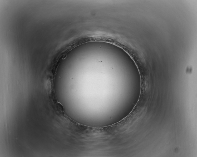 X0000102781493200808251103