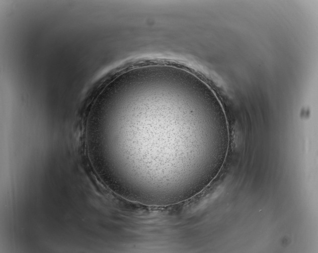 X0000102781494200808251103