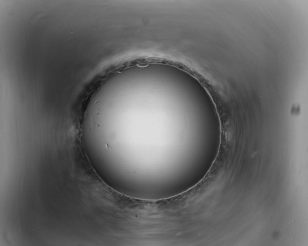 X0000102781495200808251103