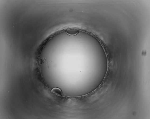 X0000102781496200808251103