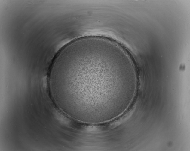 X0000102781497200808251103