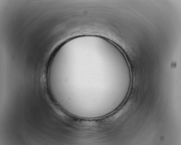 X0000102781498200808251103