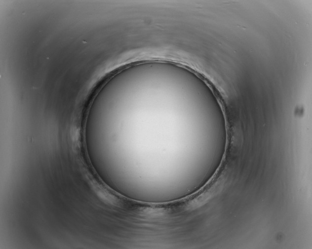 X0000102781499200808251103