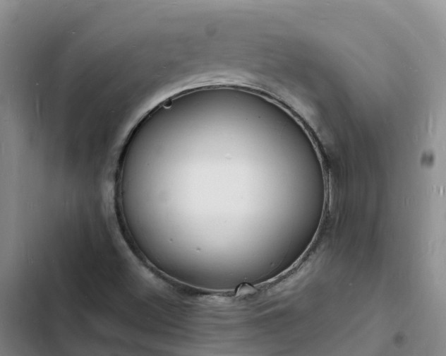 X0000102781500200808251103