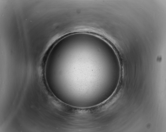 X0000102781501200808251103