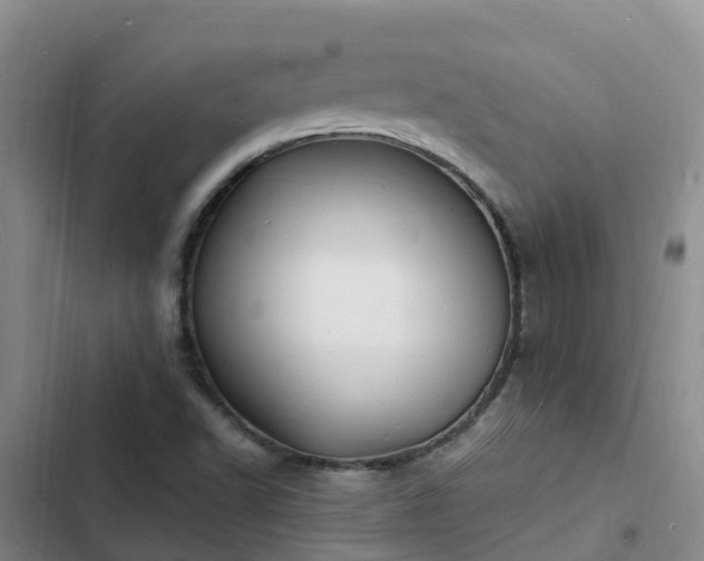 X0000102781502200808251103