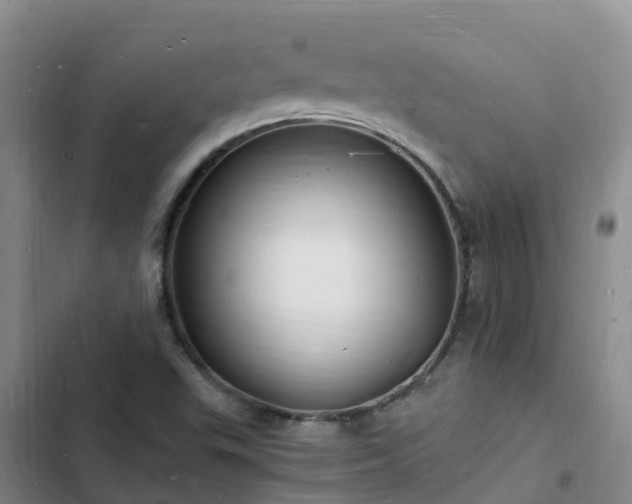 X0000102781503200808251103