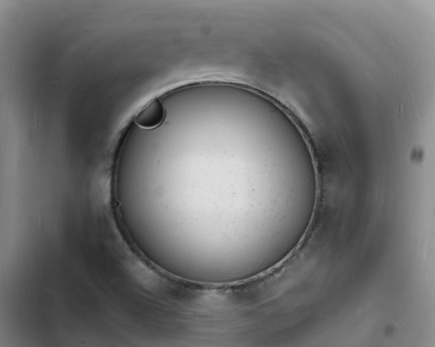 X0000102781504200808251103