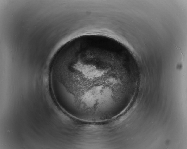 X0000102781506200808251103