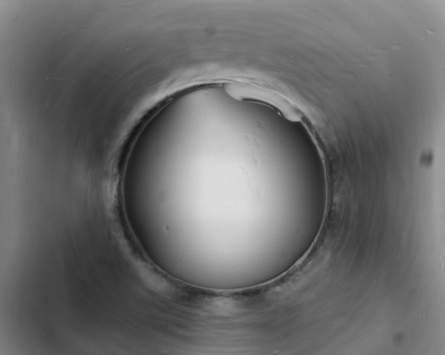 X0000102781507200808251103