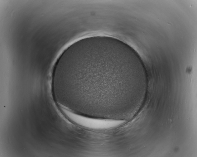 X0000102781508200808251103