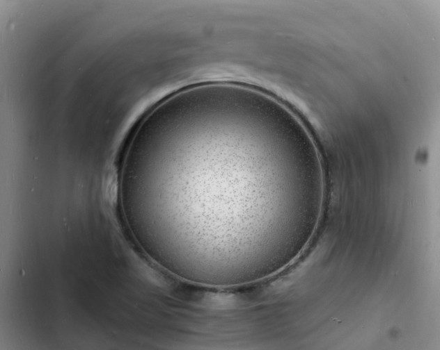 X0000102781509200808251103