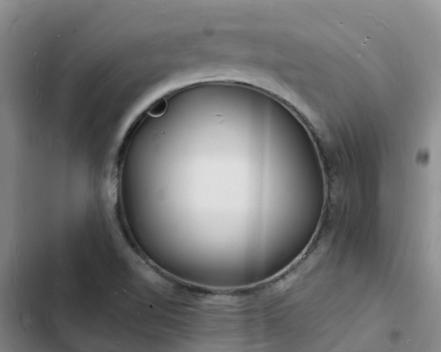 X0000102781510200808251103